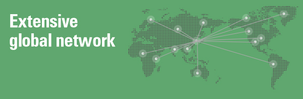 Extensive global network